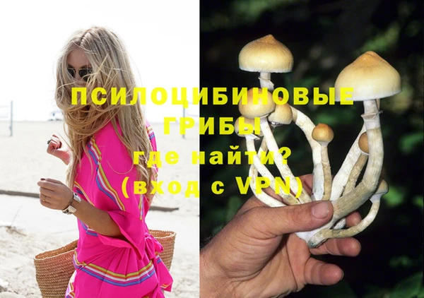 марки lsd Белокуриха