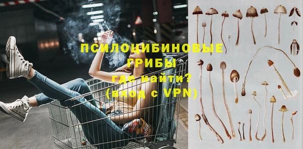 a pvp Беломорск