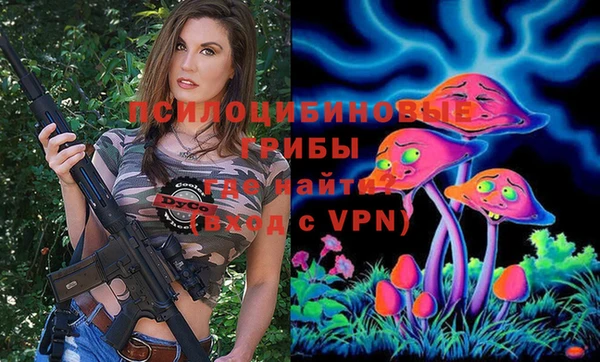 сатива Баксан