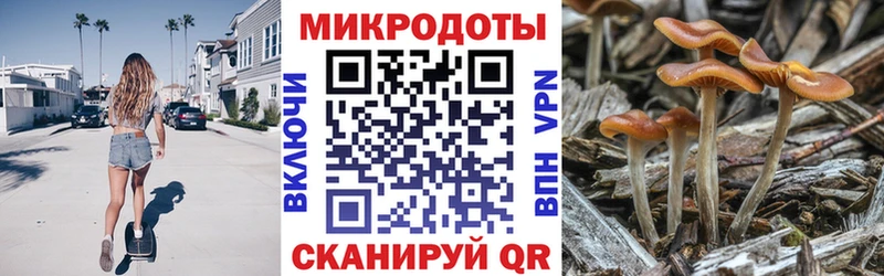 Галлюциногенные грибы MAGIC MUSHROOMS  Великие Луки 