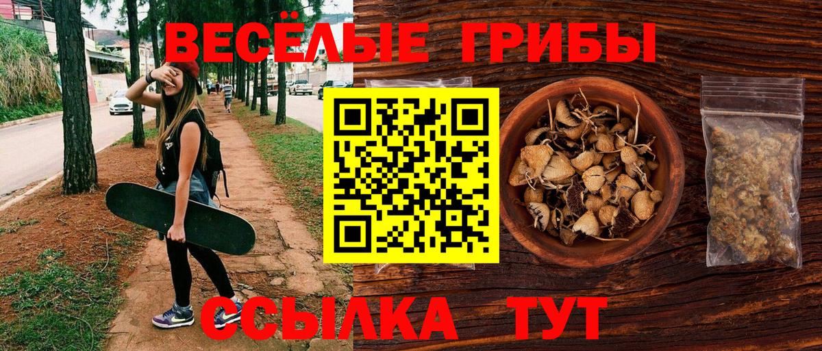 Псилоцибиновые грибы ЛСД Великие Луки